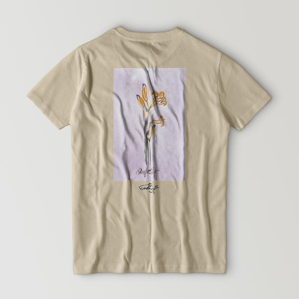日光黄菅【日光黄菅】tｼｬﾂ