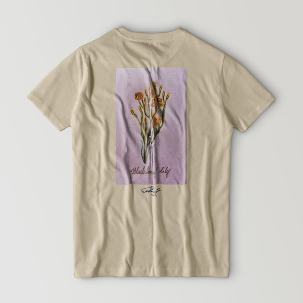 檜扇【檜扇】tｼｬﾂ