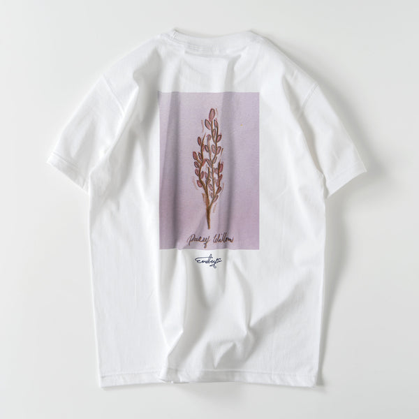 猫柳【猫柳】tｼｬﾂ