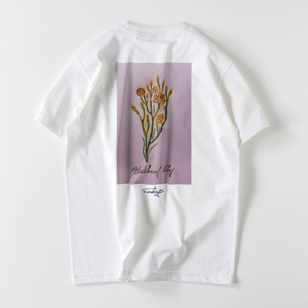 檜扇【檜扇】tｼｬﾂ